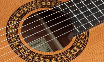 Salvador Cortez - Cc-60Ce - Classic Guitar