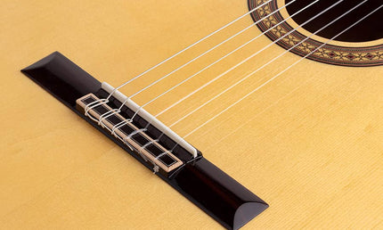 Salvador Cortez - Cs-60Ce - Classic Guitar