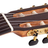 Salvador Cortez - Cs-60Ce - Classic Guitar