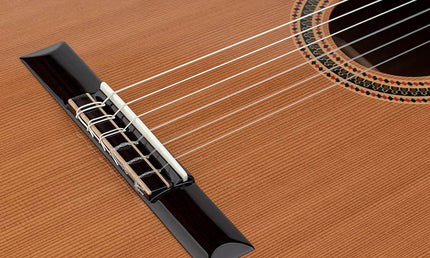 Salvador Cortez - Cc-80 - Classic Guitar