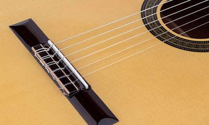 Salvador Cortez - Cs-80 - Classic Guitar