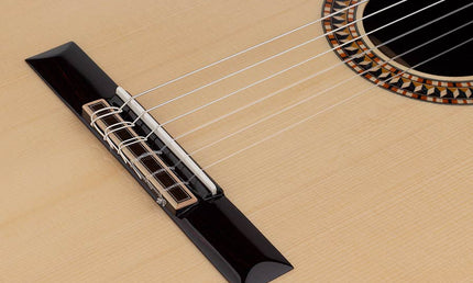 Salvador Cortez - Cs-110 - Classic Guitar