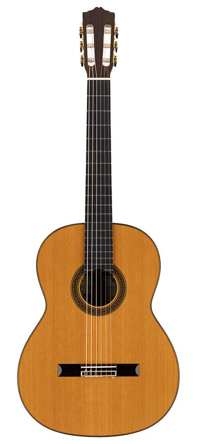 Salvador Cortez CC-110 Master Series Klassieke Gitaar – afbeelding 3