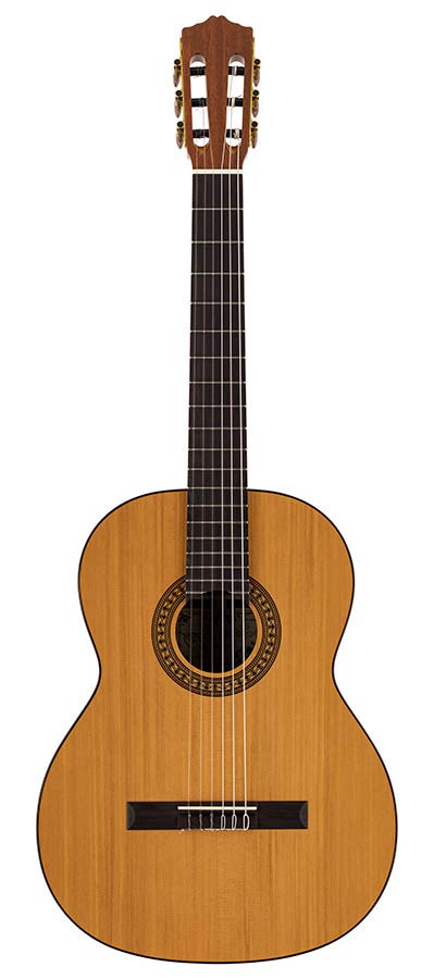 Salvador Cortez CC-22L Artist Series Klassieke Gitaar – afbeelding 3