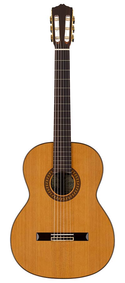 Salvador Cortez CC-60 Solid Top Concert Series Klassieke Gitaar Ceder – afbeelding 3