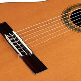 Salvador Cortez - Cc-140 - Classic Guitar, Solid Cedar Top, 3Pc Solid Rosewood