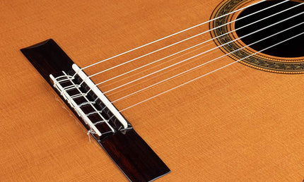 Salvador Cortez - Cc-140 - Classic Guitar, Solid Cedar Top, 3Pc Solid Rosewood