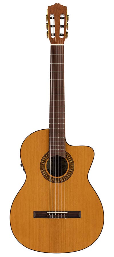 Salvador Cortez - Cc-22Ce - Classic Guitar