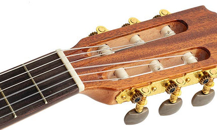 Salvador Cortez - Cc-22Ce - Classic Guitar