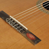 Salvador Cortez - Cc-10 - Classic Guitar – Natural