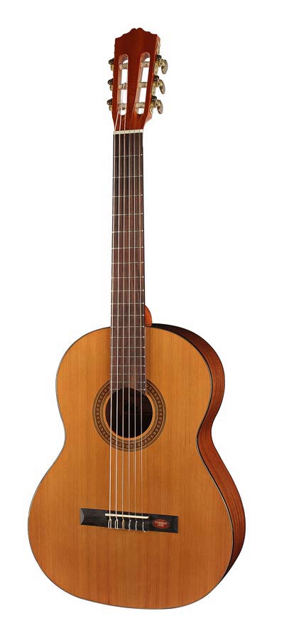 Salvador Cortez - CC-10-SN - classic guitar