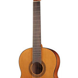 Salvador Cortez - CC-10-BB - classic guitar