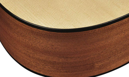 Richwood - D-20-Ce - Handmade Dreadnought Guitar