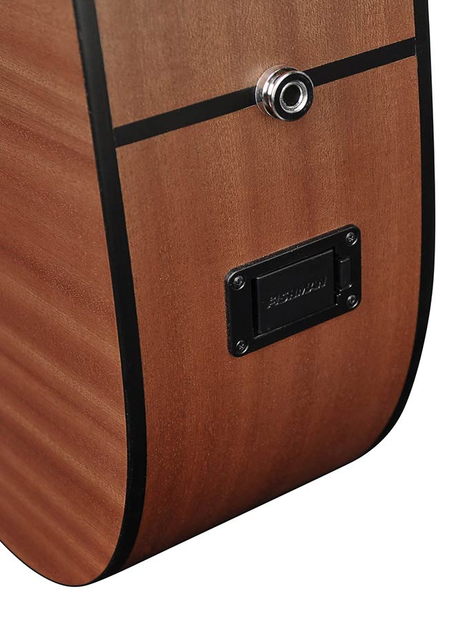 Richwood - D-20-Ce - Handmade Dreadnought Guitar