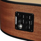 Richwood - D-20-Ce - Handmade Dreadnought Guitar