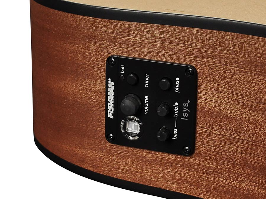 Richwood - D-20-Ce - Handmade Dreadnought Guitar