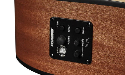 Richwood - D-20-Ce - Handmade Dreadnought Guitar