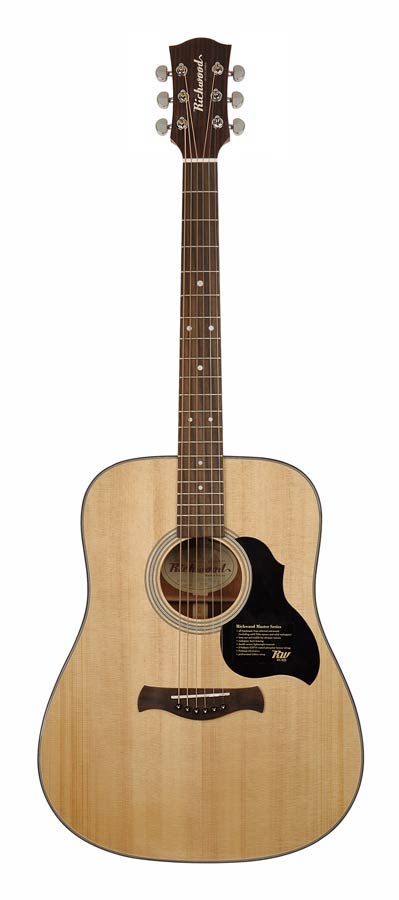 Richwood - D-40 - Handmade Dreadnought Guitar