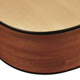 Richwood - D-40-Ce - Handmade Dreadnought Guitar