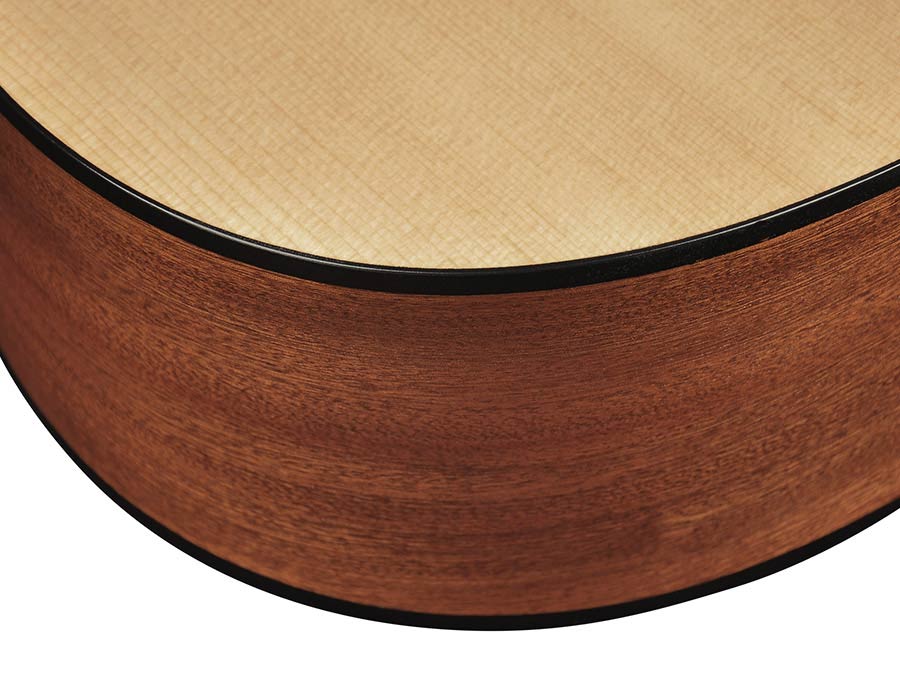 Richwood - D-40-Ce - Handmade Dreadnought Guitar