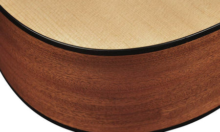 Richwood - D-40-Ce - Handmade Dreadnought Guitar