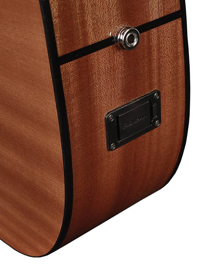 Richwood - D-40-Ce - Handmade Dreadnought Guitar