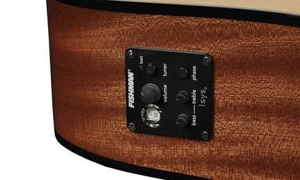 Richwood - D-40-Ce - Handmade Dreadnought Guitar