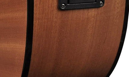 Richwood - G-40-Ce - Handmade Grand Auditorium Guitar
