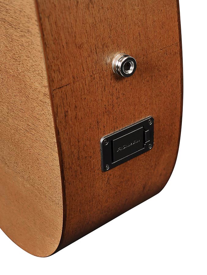 Richwood - D-50-Ce - Handmade Dreadnought Guitar