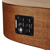 Richwood - D-50-Ce - Handmade Dreadnought Guitar