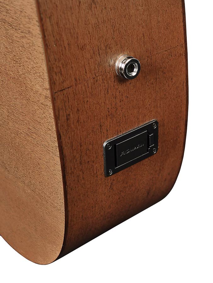 Richwood - G-50-Ce - Handmade Grand Auditorium Guitar