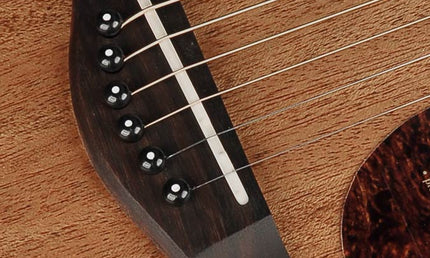 Richwood - G-50-Ce - Handmade Grand Auditorium Guitar
