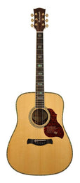 Richwood - D-70-Va - Handmade Dreadnought Guitar