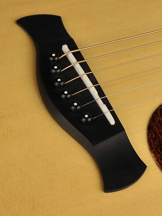 Richwood - G-70-Ceva - Handmade Grand Auditorium Guitar