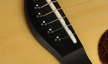 Richwood - G-70-Ceva - Handmade Grand Auditorium Guitar