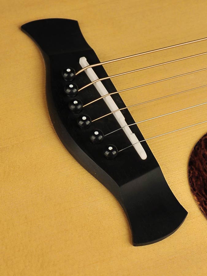 Richwood - A-70-Va - Handmade Auditorium Ooo Guitar