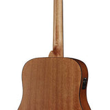 Richwood - D-20-E - Handmade Dreadnought Guitar