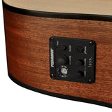 Richwood - D-20-E - Handmade Dreadnought Guitar