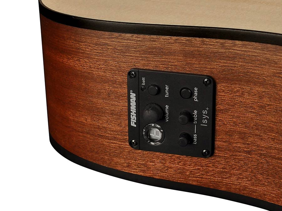 Richwood - D-20-E - Handmade Dreadnought Guitar