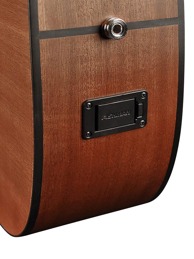 Richwood - D-20-E - Handmade Dreadnought Guitar