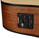 Richwood - G-20-Ce - Handmade Grand Auditorium Guitar