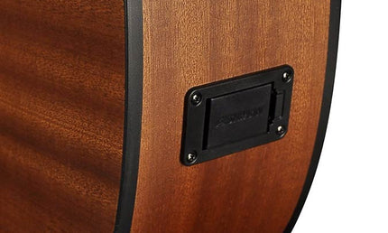 Richwood - A-20-E - Handmade Auditorium Ooo Guitar