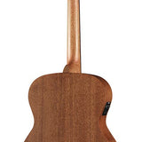 Richwood - A-50-E - Handmade Auditorium Ooo Guitar