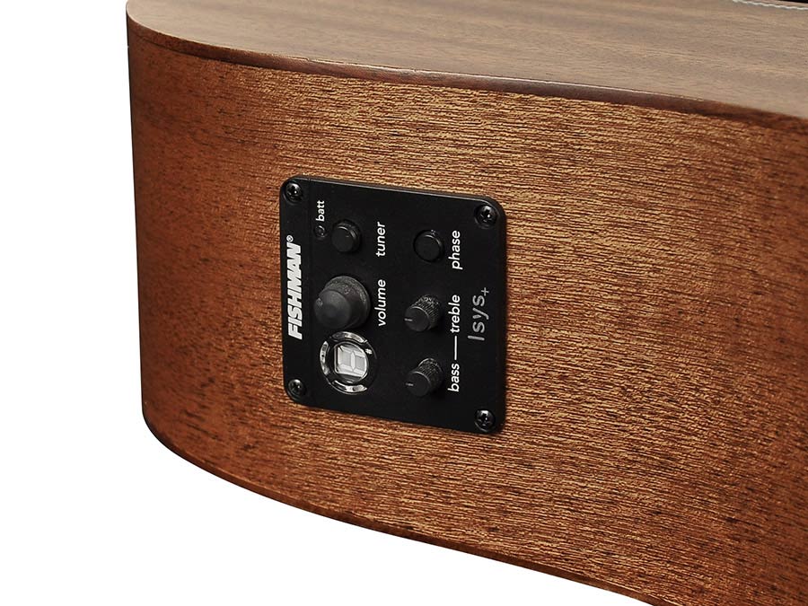 Richwood - A-50-E - Handmade Auditorium Ooo Guitar