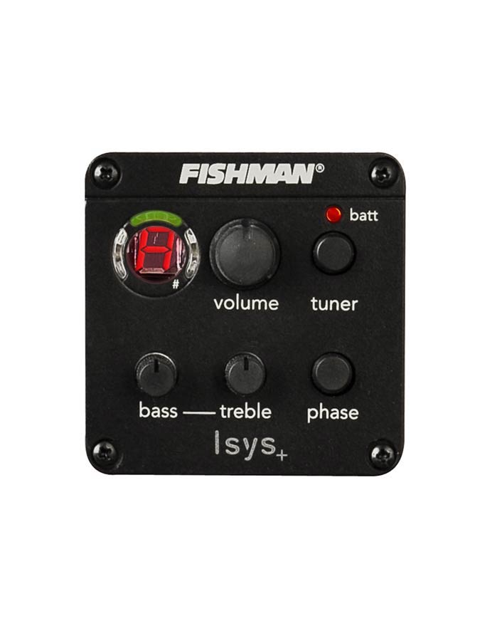 Richwood - A-50-E - Handmade Auditorium Ooo Guitar