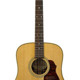 Richwood - D-65-Va - Handmade Dreadnought Guitar