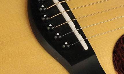 Richwood - A-70-Eva - Handmade Auditorium Ooo Guitar