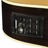 Richwood - D-70-Ceva - Handmade Dreadnought Guitar