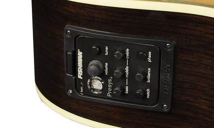 Richwood - D-70-Ceva - Handmade Dreadnought Guitar