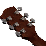 Richwood - D-265-Va - Custom Shop Dreadnought